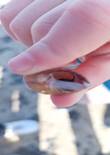 20230503_111954 (Large).jpg (154812 bytes)